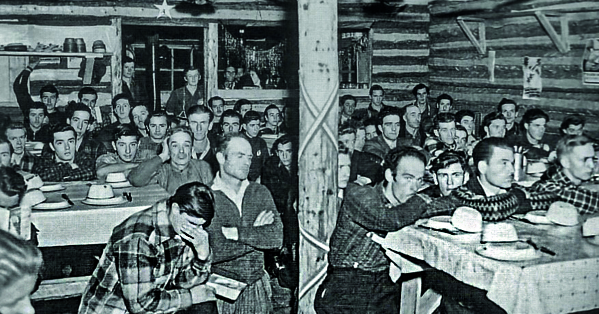 Noël au camp - Territoire Matapédia et les Plateaux